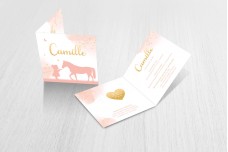 Meisje met paard Meisje met paard